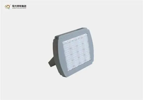 LED Flood Light